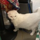 바라다동물병원 이미지