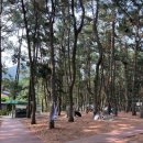 바다여행 - 부안군 모항해변길 3 | 고흥 남열해돋이해수욕장 다녀왔습니다! 물색도 최고, 수온도 딱 좋았던 여름 바다 여행 후기