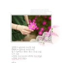 성하 - 장흥군 | 성하