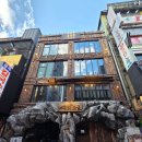 너구리 소굴 이미지