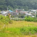 덕적면사무소 네이버블로그