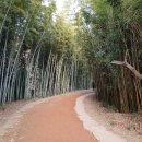 울주 대곡리 반구대 암각화 이미지