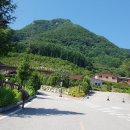 진안고원치유의숲 이미지