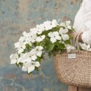 화훼장식기능사 국가자격증과정 이미지