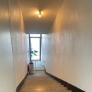 하이댕스 이미지