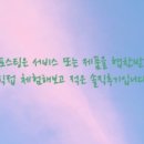 으뜸50안경 해운대역점 이미지