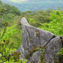 팔공산-(수도사-작은민비골-소혀바위봉-횃대덤-도마재-보현봉-수도사)-230514 이미지