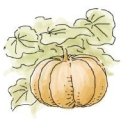 꼭지비어 이미지