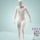 등장성 운동... 이미지