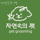 자연속의 펫 네이버블로그