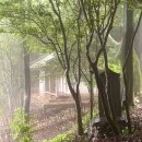 전남 가볼만한 곳 강진 다산초당 정약용유배지