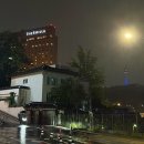 북경,영빈관 | 서울신라호텔 더파크뷰 뷔페 평일 디너 분위기·서비스·맛 후기🍽