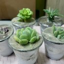 햇빛촌 농원 네이버블로그