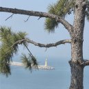 가덕도 등대 | [가덕도 감성 카페] 바다뷰가 환상적인 세븐아일랜드에서의 하루