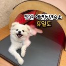 럭키성인게임장 | 창원 애견동반숙소 애견동반카페 휴일도