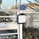 핸즈 인 제주 | 제주일상 / 제주도 요가원데이클래스 샬라아움 제주조천 요가 후기