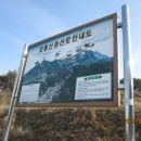 삼오약국 이미지