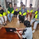 고운노모당 이미지