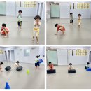 NBT 하이라이트 태권도장 이미지