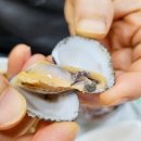 &lt;벌교 꼬막정식 맛집&gt; 남도사또밥상 솔직후기!