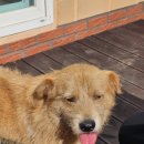 인제402펜션 이미지