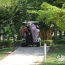 그린밸리 이미지