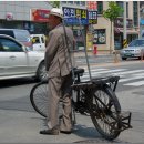 자전거마니아 이미지