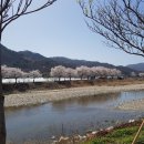 옥계리 하천 건너편 이미지