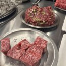 분당-335 이미지