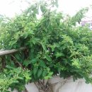 횃불농장 이미지