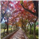 희망펜션 이미지