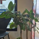 파주연부동산공인중개사사무소 이미지