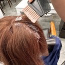 올쌤교육