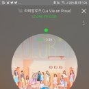 멜론2 이미지