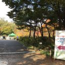 JMP그래픽