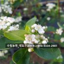 수림꽃농원 이미지