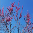 영은산업