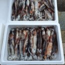 서생당약국 이미지