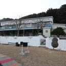 파트라슈 애견 펜션 이미지