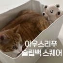 아우스리푸 | 아우스리푸 슬립백 스퀘어 솔직 후기! 트망모짱도 반한 포근함
