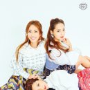 S.E.S. 카카오 검색결과