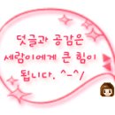 컴플리트 리페어 네이버블로그