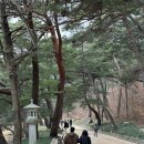 채다올김밥대구법원점 | 대구출발버스투어 당일치기 양산 통도사 울산 대왕암공원 진짜재미있는여행