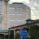 메이필드 호텔 이미지