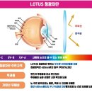 으뜸플러스안경원 이미지