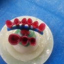 화인덴탈 이미지