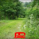 마노힐링캠프 이미지