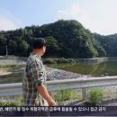 서화면 용늪길 강원 네이버블로그