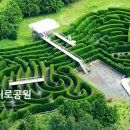 미로농장 이미지