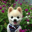 희망나래 이미지